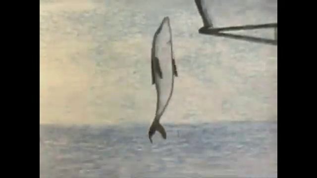 Девочка и дельфин 1982 То Экран смотреть онлайн