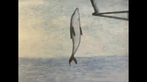 Девочка и дельфин 1982 То Экран