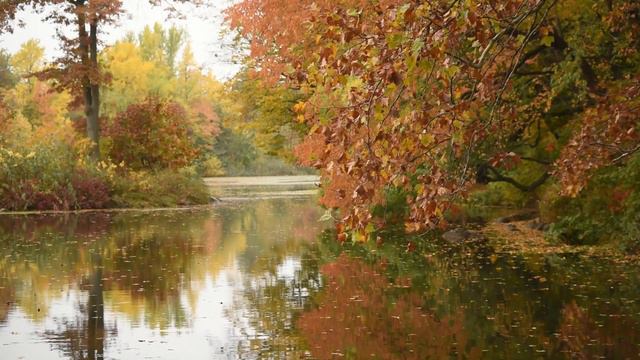 Relaxing Music for Sleep, Meditation and Stress Relief | With Autumn Images смотреть онлайн