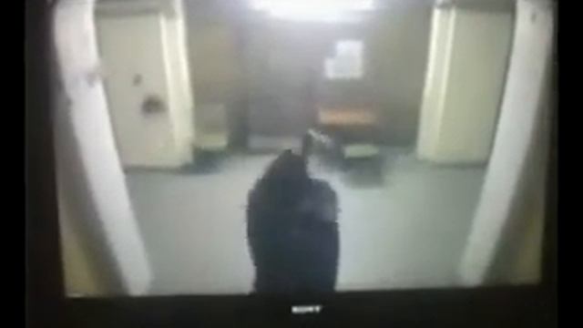 СПбПБСТИН смотреть онлайн