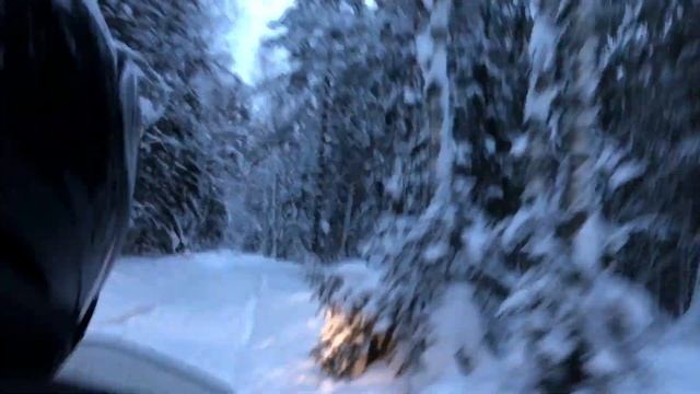Катаемся на снегоходе по лесу, и весело проводим время. смотреть онлайн