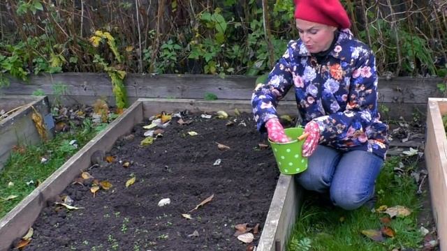 Подзимний посев! Что сажаем? Список культур, технология посадки. Всё просто! смотреть онлайн