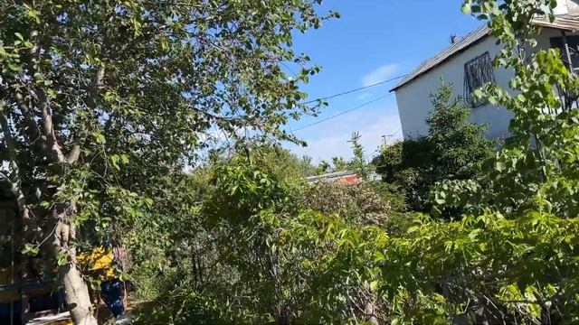 Иду домой отвечаю всем по поводу котлет, и что я делаю дома вечером смотреть онлайн