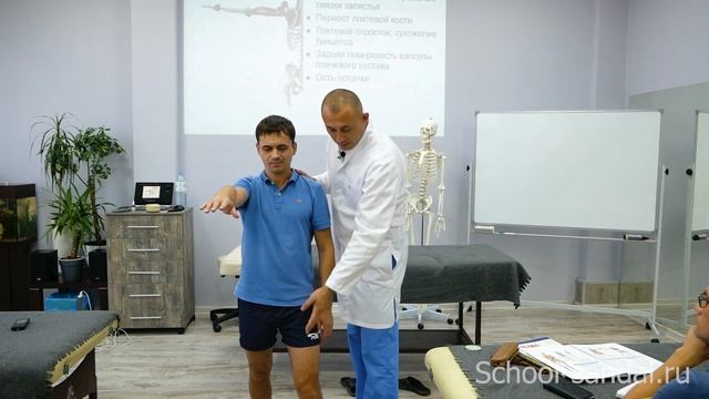 Анатомические поезда. Теоретическая часть и техники коррекции. Циванюк Антон Владимирович смотреть онлайн