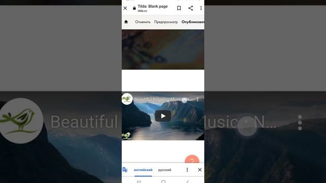 Тильда сайтына тіркелу, оформление жасау смотреть онлайн