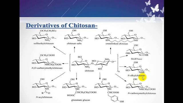Bio polymers - chitin and chitosan смотреть онлайн