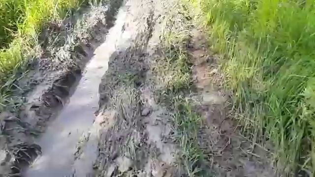 Сержиха смотреть онлайн