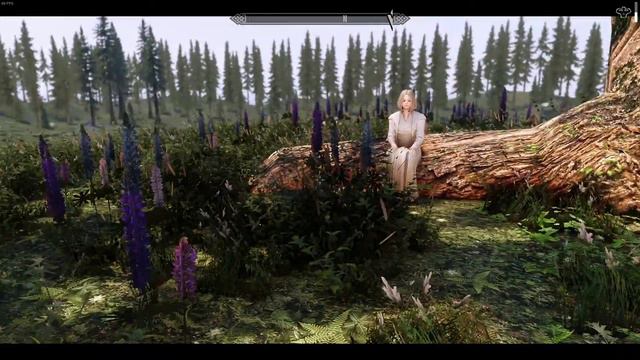 Skyrim-Vigilant Mod True Ending смотреть онлайн