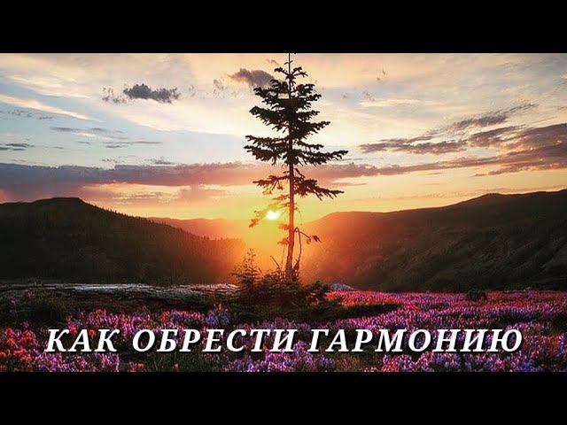 Что такое ГАРМОНИЯ на самом деле смотреть онлайн