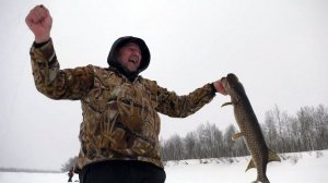 С полем!: Чемпионы не сдаются