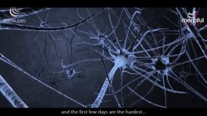 Научное доказательство пользы ПОСТА в месяц Рамадан