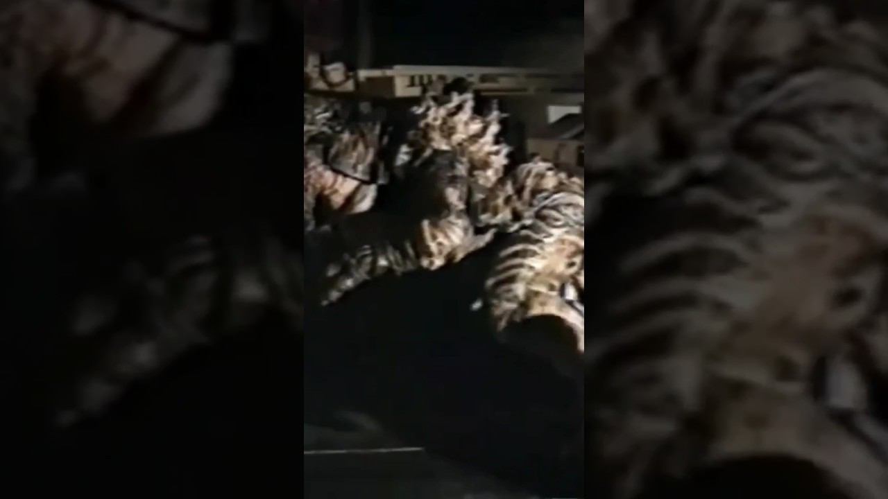 Сложный механизм для съёмок кино #графика #кино смотреть онлайн