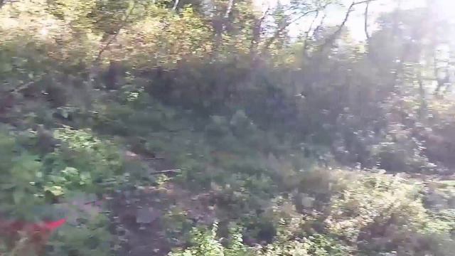 Новорижские дачи смотреть онлайн