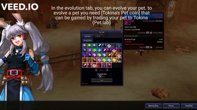 Kritika Global Pet Evolution Newbie Tutorial смотреть онлайн