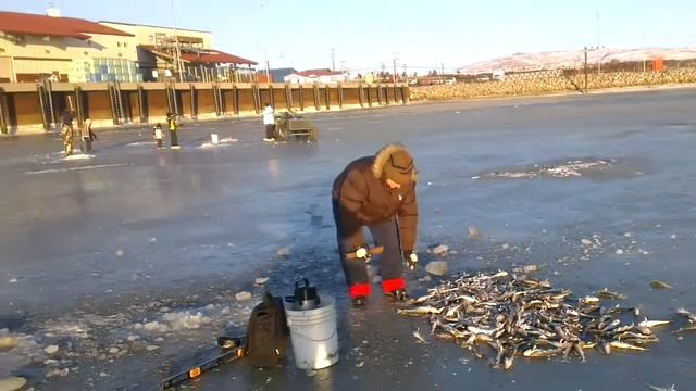 Мама даёт мастер класс ловли рыбы без наживки смотреть онлайн