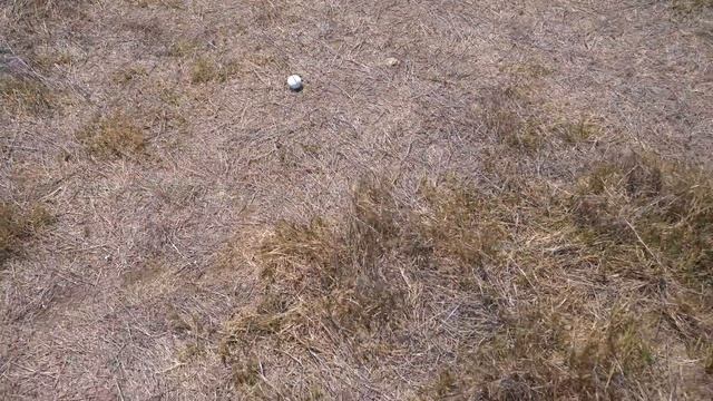 DOTS...A FUN GOLF GAME! смотреть онлайн