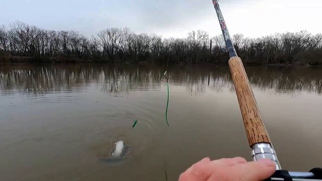 Big Catfish Breaches the Water in a Tidal Flat || James River || Kayak || Catfishing смотреть онлайн
