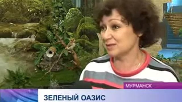 ДК имени Кирова организовал зеленый оазис смотреть онлайн