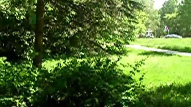 Прогулка по Новосибирску ( Академгородок) смотреть онлайн