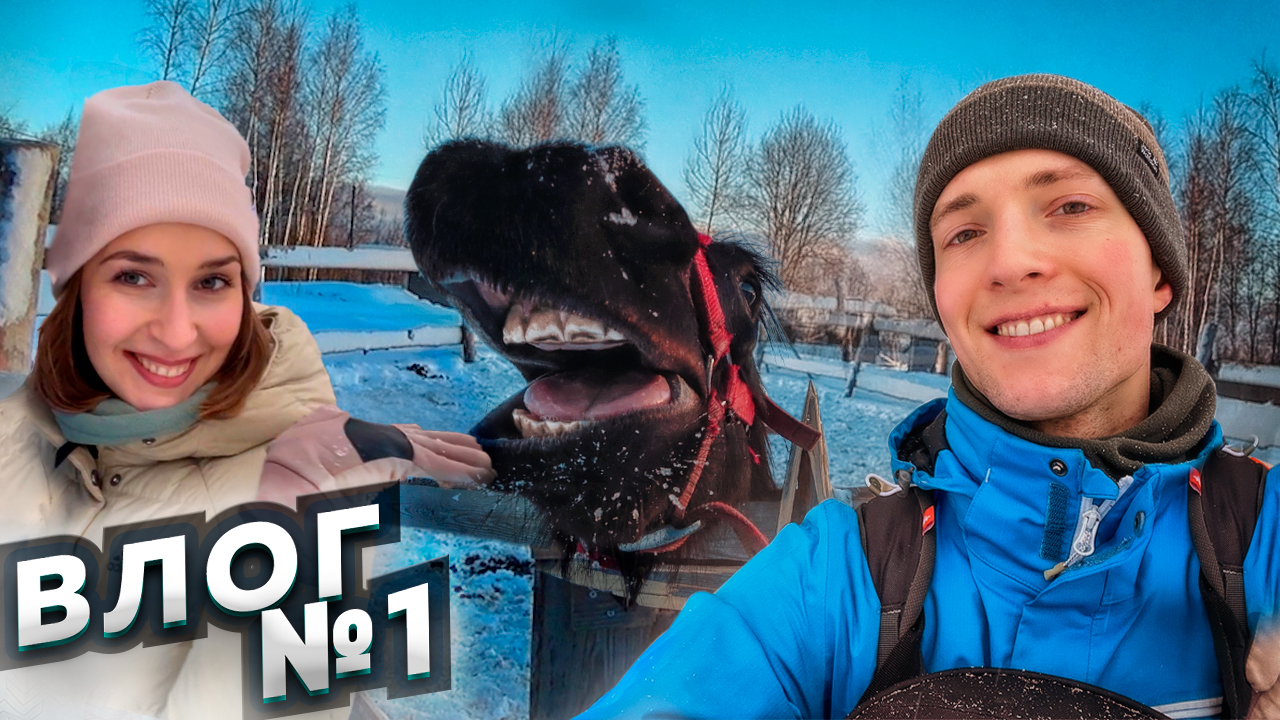 БОРОЛИКИ ❤️ / ПЕРВЫЙ ВЛОГ - ТОСНО ? смотреть онлайн