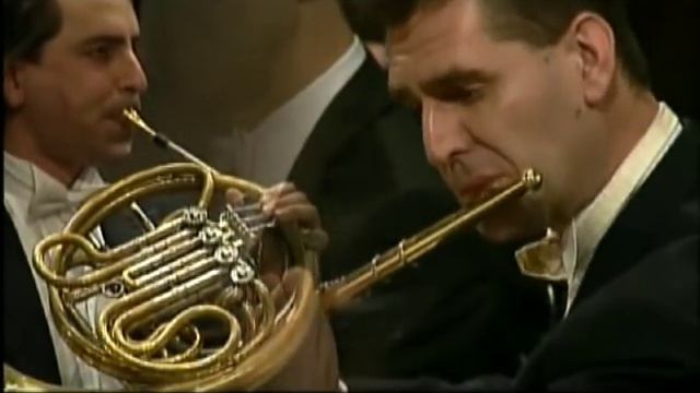 Mahler's 9th symphony, Horn solo смотреть онлайн