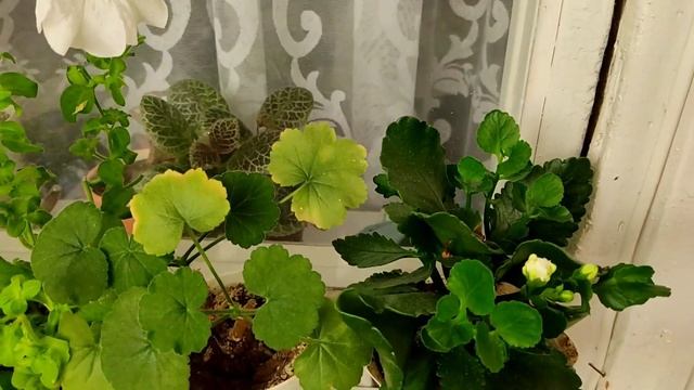 Туника крючком от угла.