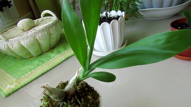 Вот это так открытие!!! Нано-мир отдыхает))) смотреть онлайн