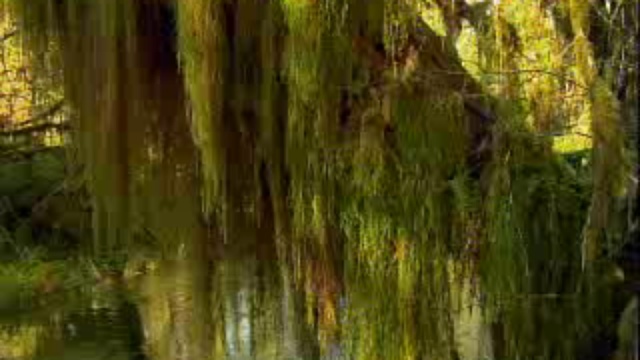 Отзвуки Творения смотреть онлайн