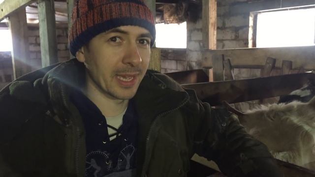 Цены на сельхозпродукцию! Прибавление в хозяйстве! смотреть онлайн