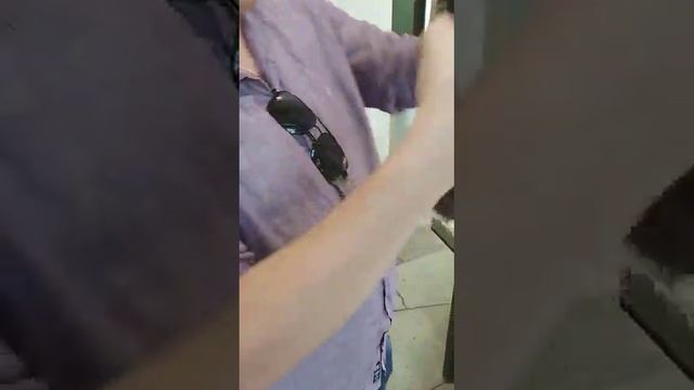 пончик ,королевский питон ))) смотреть онлайн