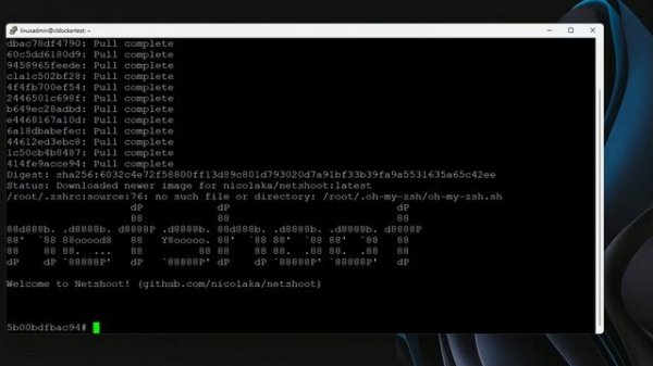 Netshoot Docker container for Docker compose networking host troubleshooting