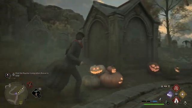 Hogwarts Legacy [4K/60fps HDR] (100%, Platinum, Hard) Walkthrough Part 25 - The Lost Child смотреть онлайн