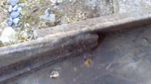 МТЗ-82.1 ремонт лонжерона