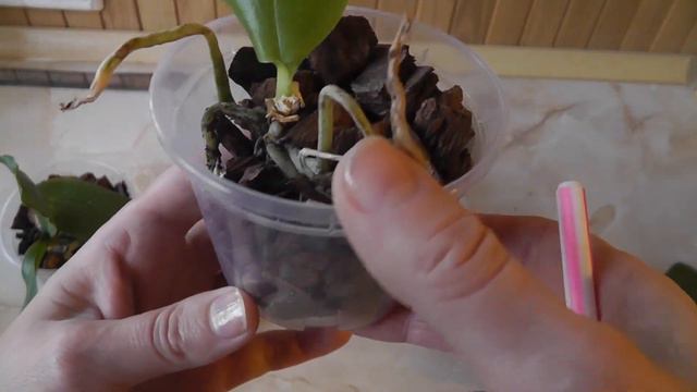 Реанимашки сюрпризы из коробки через 2 месяца Как изменились подростки смотреть онлайн