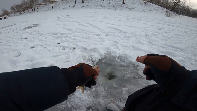 Глухозимье или нет? Зимняя рыбалка на мормышку со льда на заливе Десны. смотреть онлайн
