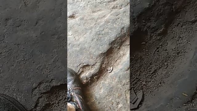 Toyota vitz fuel pump check ✔ смотреть онлайн