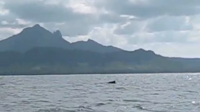 Cachatrip Mauritius relax смотреть онлайн