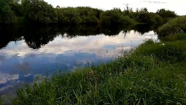 Хорошее качество камеры леэко смотреть онлайн