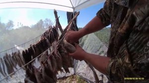 Отдых на Ахтубе Пироговка сентябрь 2016