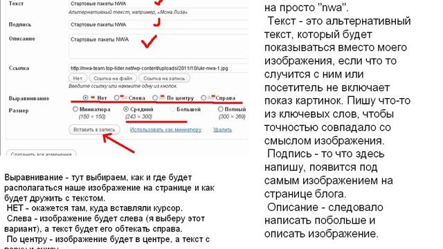 wordpress-6.wmv смотреть онлайн