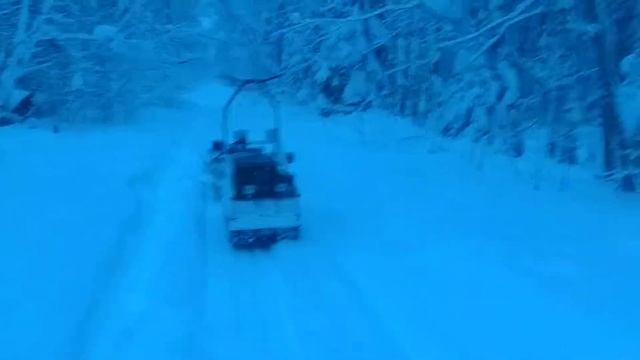 Мотобуксировщик Паксус PAXUS-надежно.