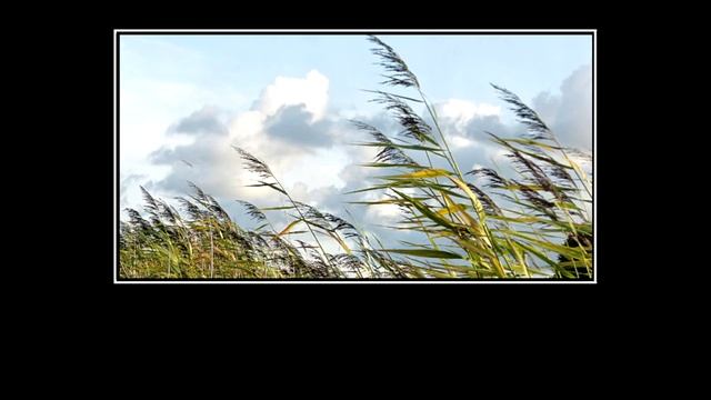 леон в реальной жизни ? смотреть онлайн