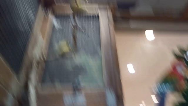 ТРОГАТЕЛЬНЫЙ ЗООПАРК .. я в Гостях в ВОЛЖСКОМ смотреть онлайн