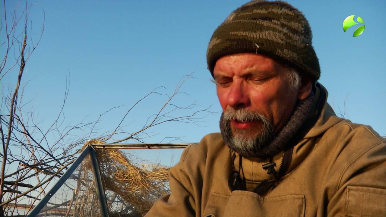С полем! "Утки прилетели!" Часть 2 смотреть онлайн