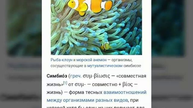 16.04#Биология#6класс#Урок#2 Продолжение темы-класса двудольных.