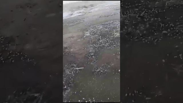 26 декабря 2023 г. смотреть онлайн