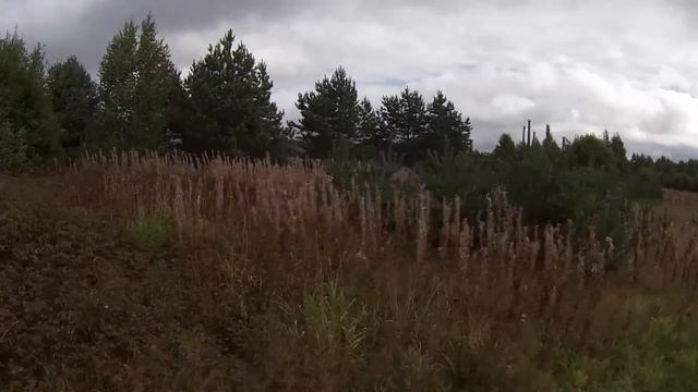 Village Pskov смотреть онлайн
