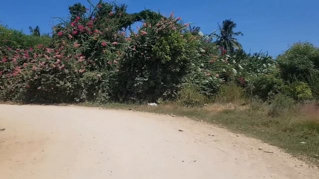 90. Африка. Кения. Люблю заходить к Беатриз и Макарене. смотреть онлайн