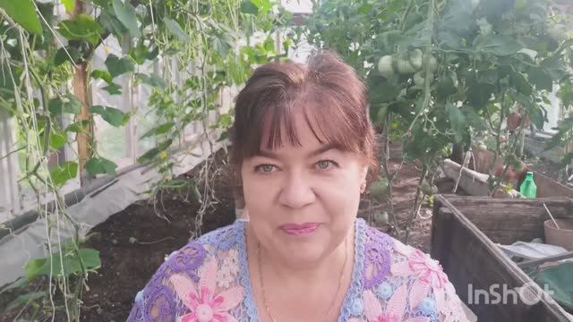 13.08.22 Пошли в лес по грибы-набрали море грибов-пою в лесу-жарю рыжики... смотреть онлайн