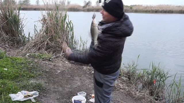 Рыбалка на карася крупный карась Краснодарский край Кубань смотреть онлайн